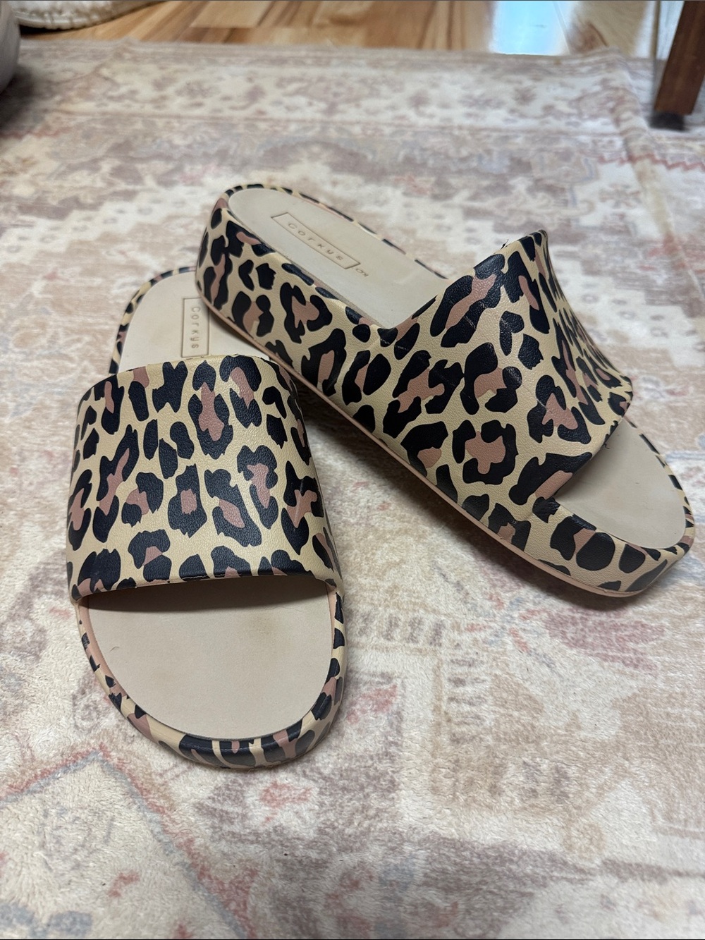 Corkys Slides